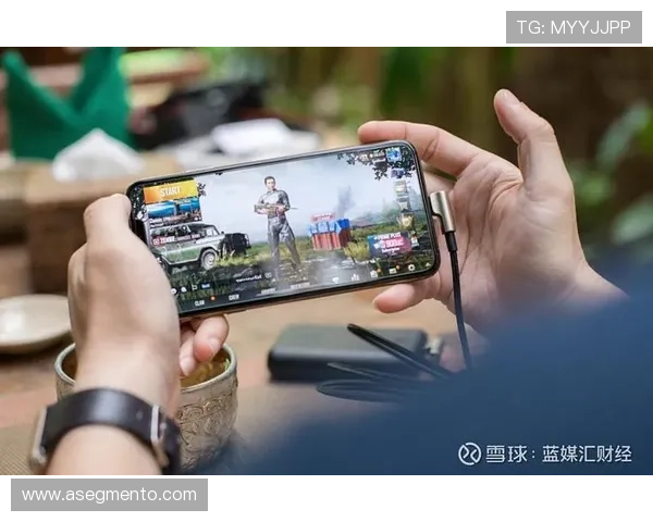 凯旋娱乐官方网站安全可靠的游戏平台保障玩家账号信息安全与资金安全